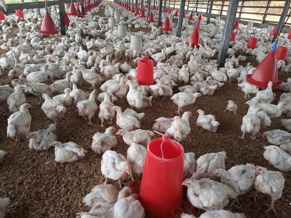 WhatsApp Image 2025-11-28 at 1.38.11 AM